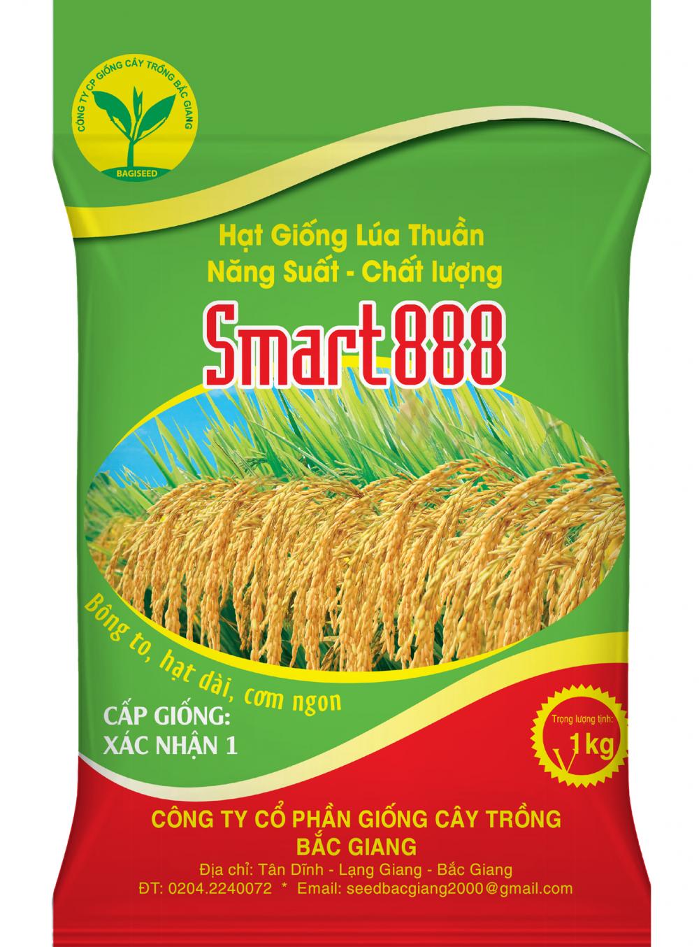 Smart 888-Hạt giống lúa thuần