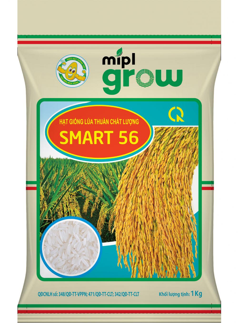 SMART56-Hạt giống lúa thuần