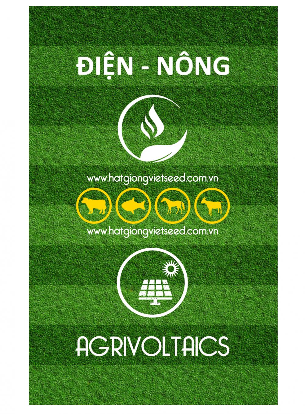 NGHIÊN CỨU ĐIỆN-NÔNG KẾT HỢP