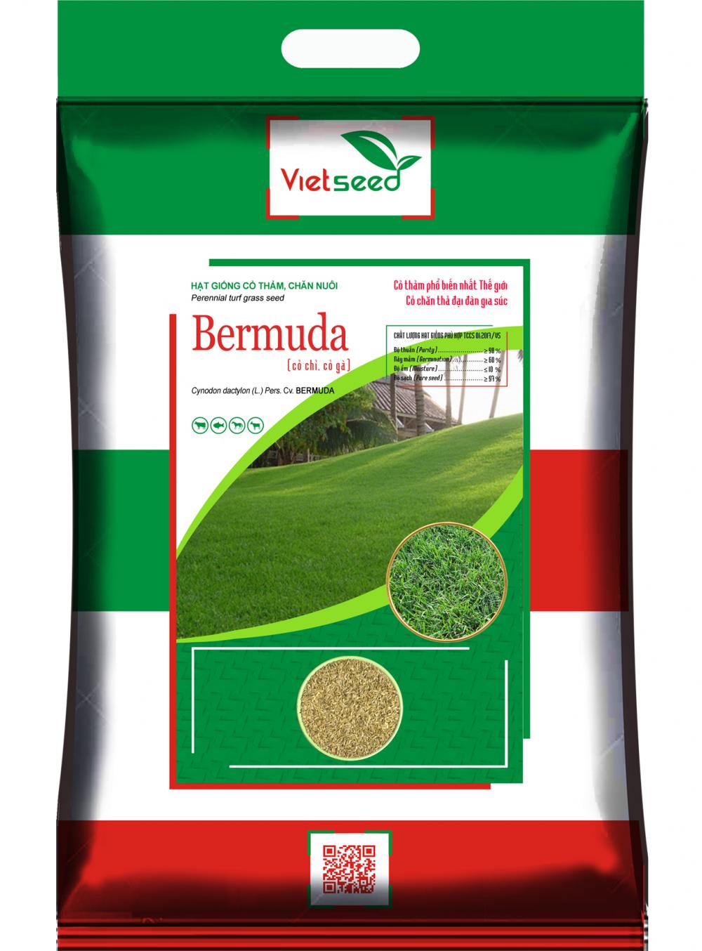 BERMUDA-Hạt giống cỏ thảm (cỏ gà, cỏ chỉ)