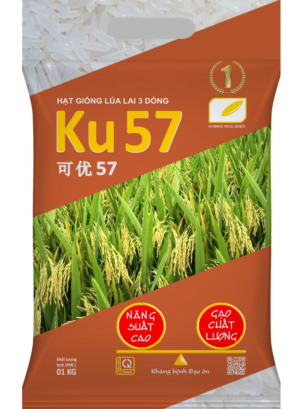 KU57-Hạt giống lúa lai