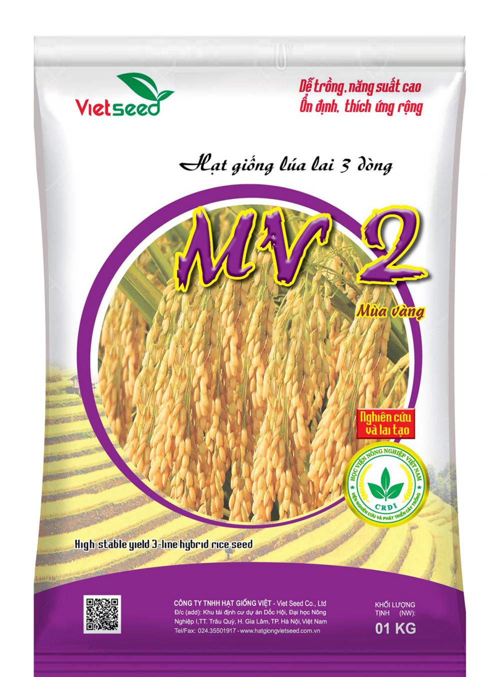 MV2-Hạt giống lúa lai 