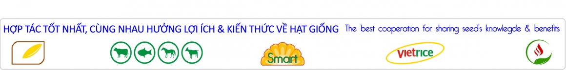 Banner top